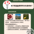 瓜地馬拉 科班